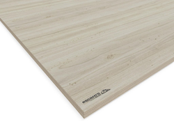 Contreplaqué - PEUPLIER - ép. 10 mm - choix II/III - panneau de 2.50 x 1.22 ml